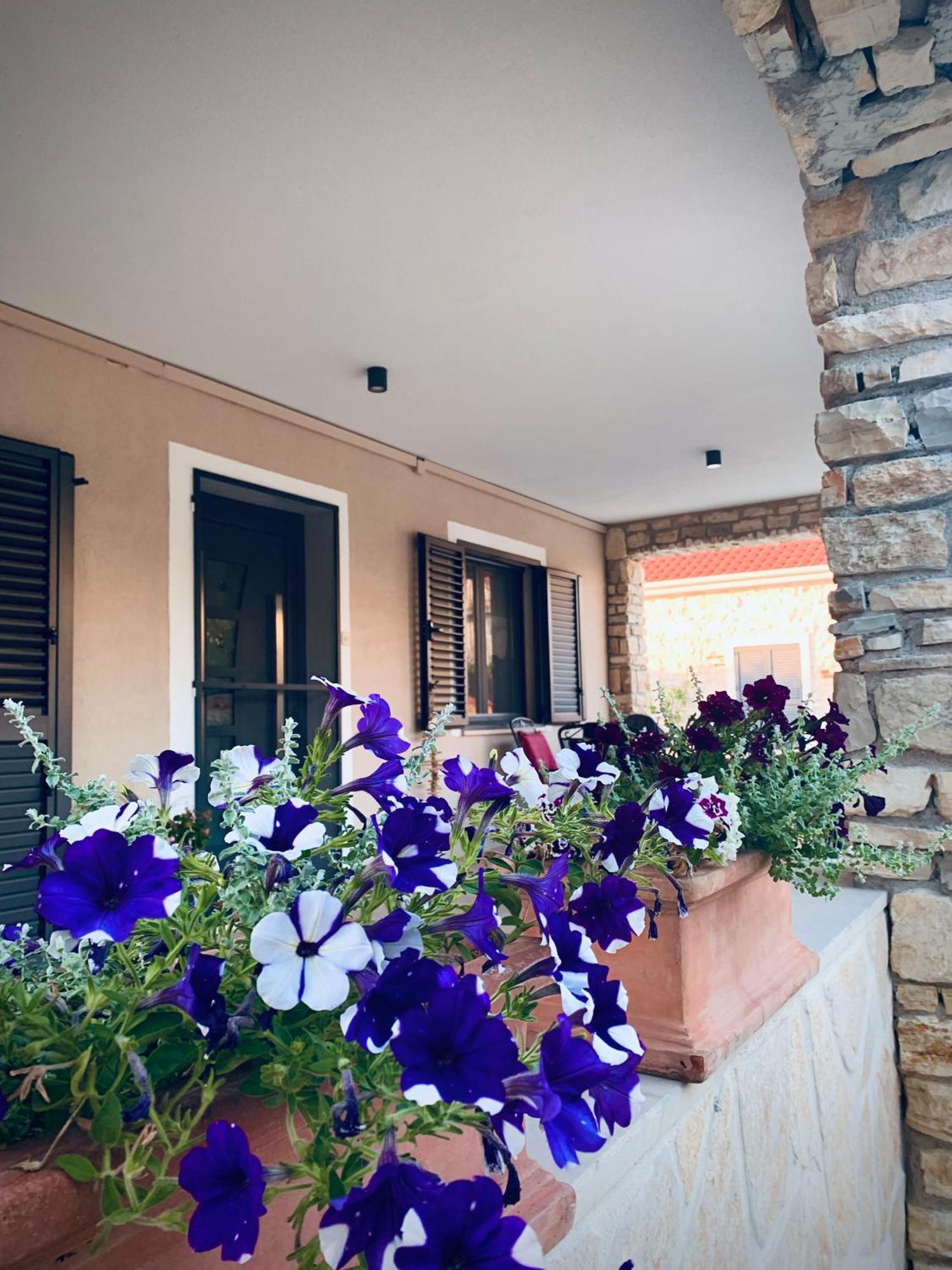 Ferienwohnungen VI La Mare With Heated Pool Ζαντάρ Εξωτερικό φωτογραφία